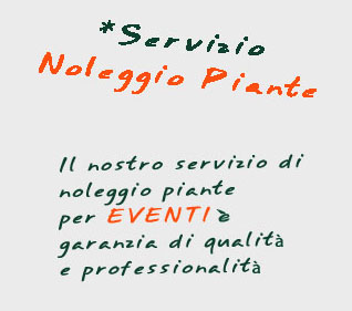 Noleggio piante